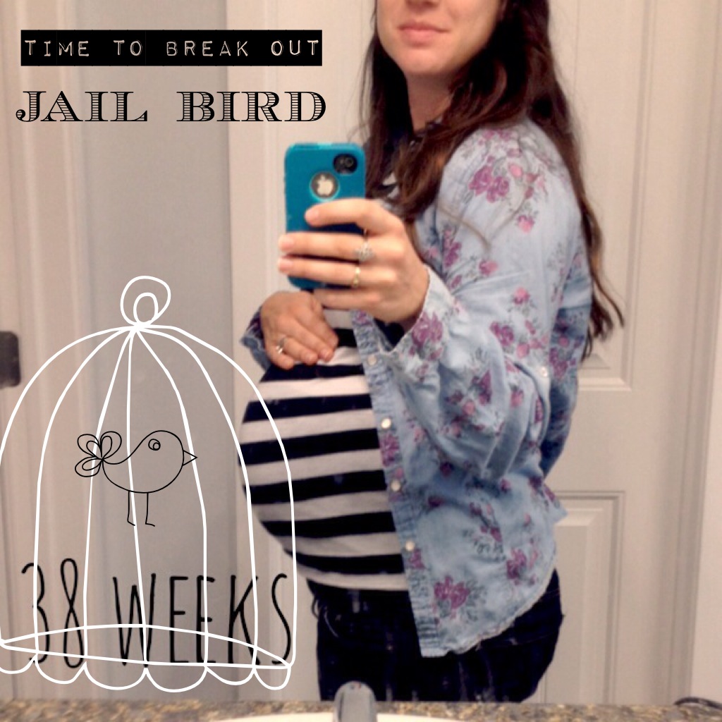 Pregnancy Update - 38 Weeks (baby#2) - Sweet Poppy Seed