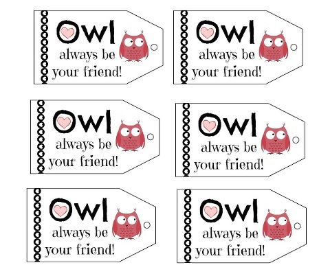 owl valentine