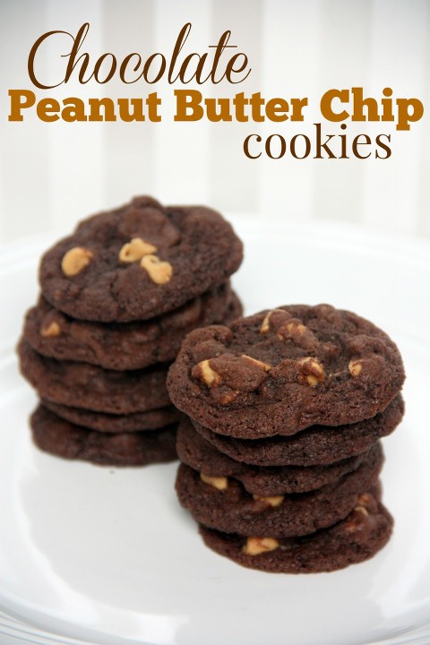 peanut butter chocolate cookies