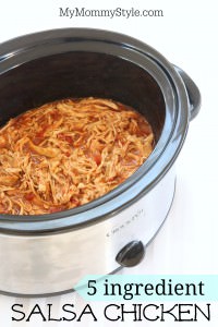 salsa chicken