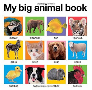 board book animals