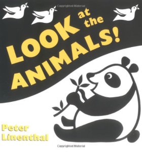 board books animals