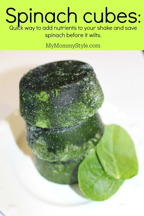 Spinach cubes, skinny gut, protein powder, healthy, shake recipes, healthy shake recipes, My Mommy Style, healthy tips