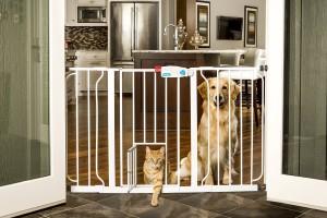 dog gate