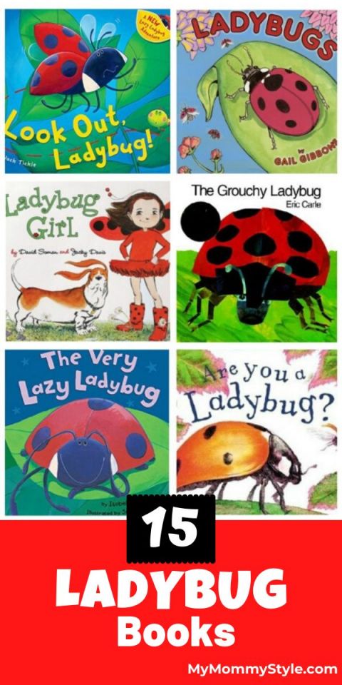 ladybug books