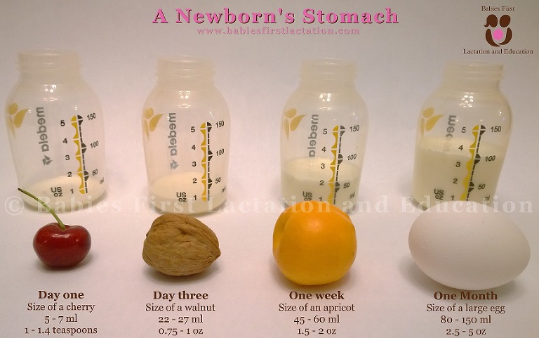newborn-stomach-small