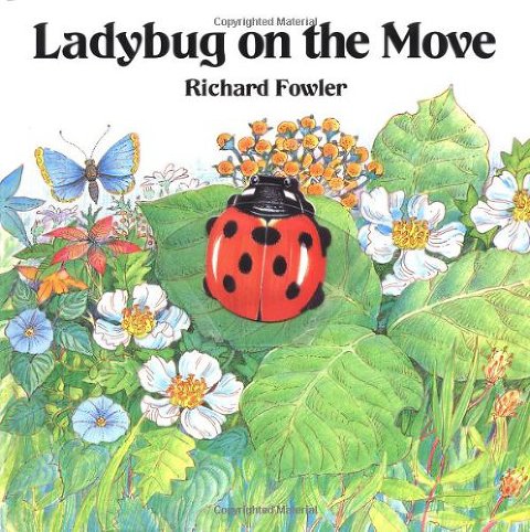 ladybug on the move book