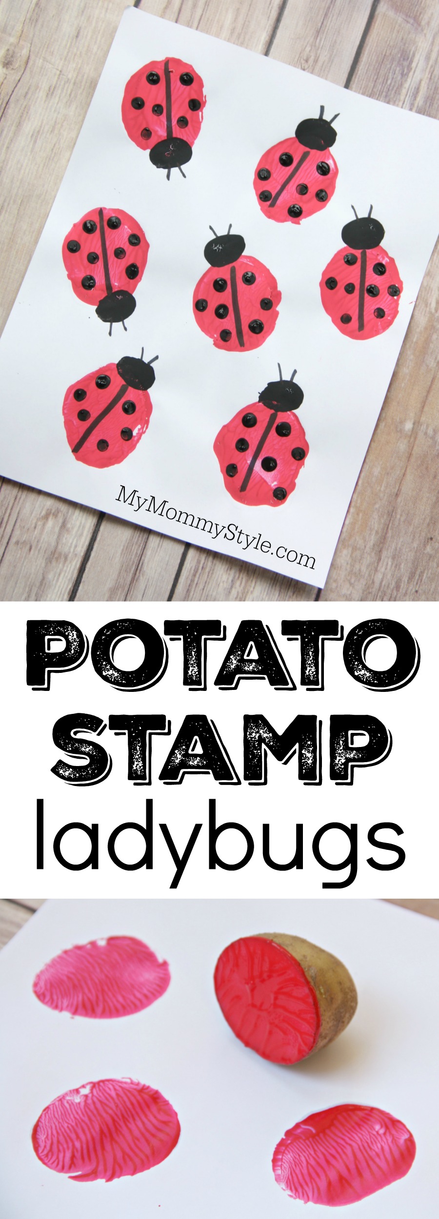 Ladybug Craft of Potato stamp ladybugs on white paper