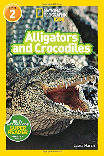 alligator and crocs