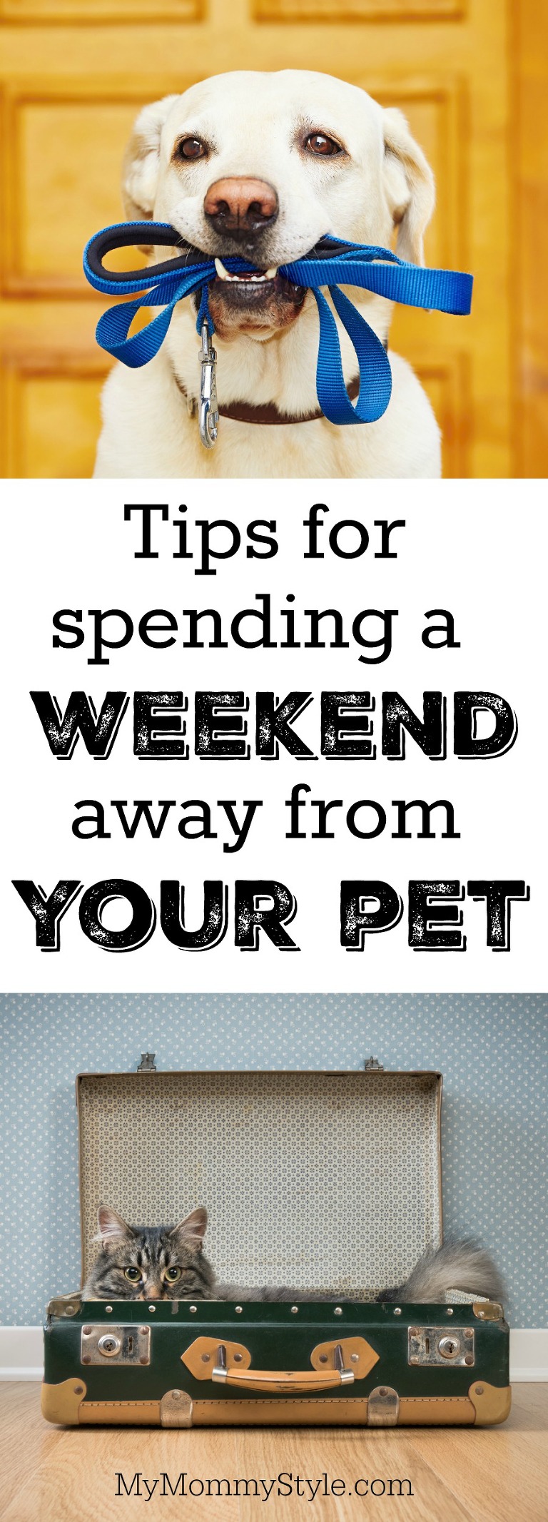 Tips for spending a weekend away from your pet