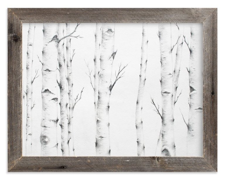 birch-trees-minted