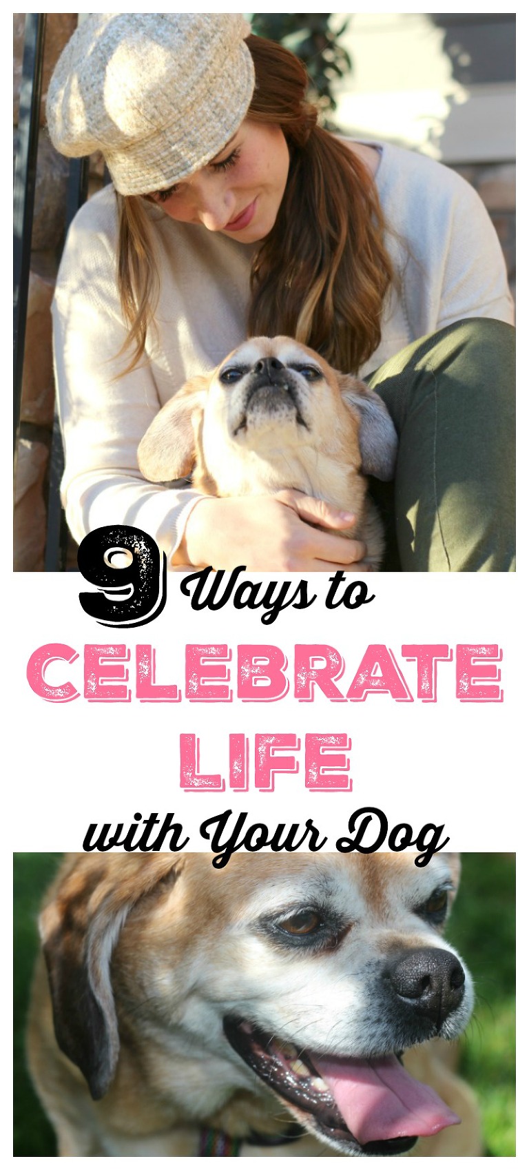 Celebrate Life with Your Dog, best friend, dog ownership, dog tips, owning a dog