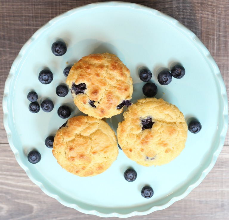 Keto Low Carb Blueberry Muffins