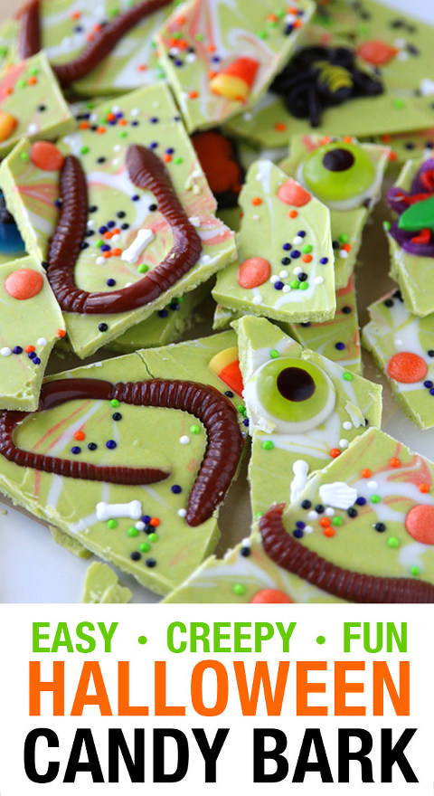 Worms and bugs candy bark