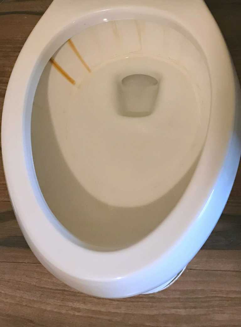 How to remove rust stains from a toilet bowl My Mommy Style