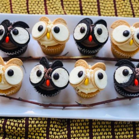 Owl cupcakes on a plate