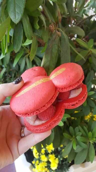 homemade raspberry macarons