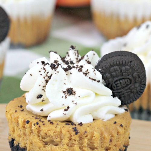 Oreo Pumpkin Mini Cheesecake