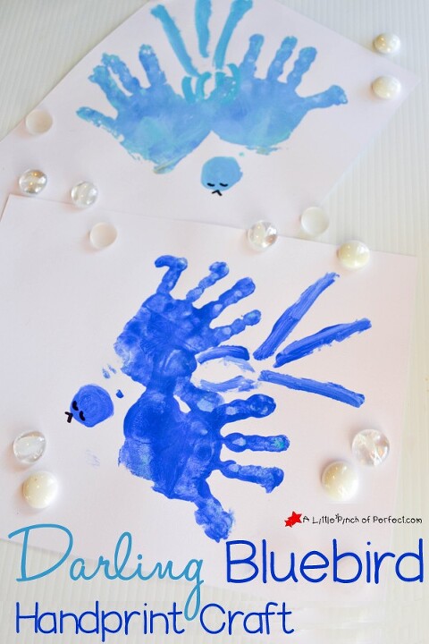 bird crafts and activities