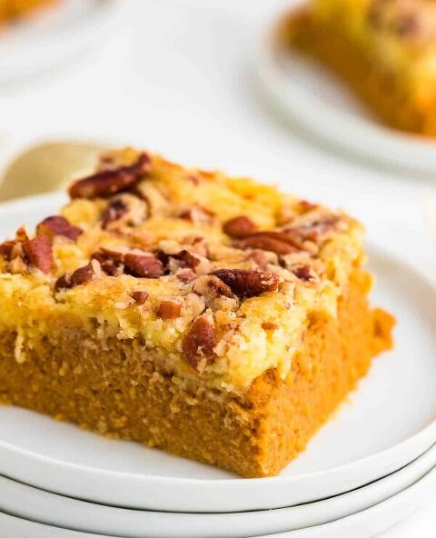 Roundup Image for Canned Pumpkin Recipes 