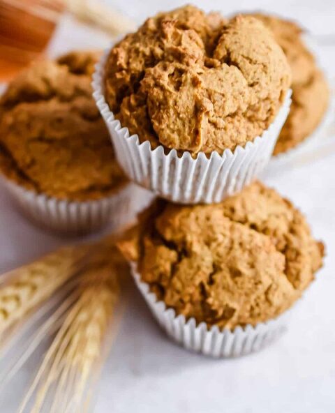 Roundup Image for Canned Pumpkin Recipes 