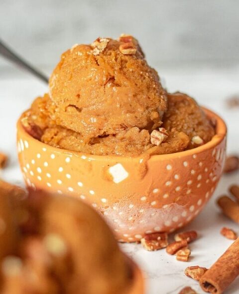 Roundup Image for Canned Pumpkin Recipes 