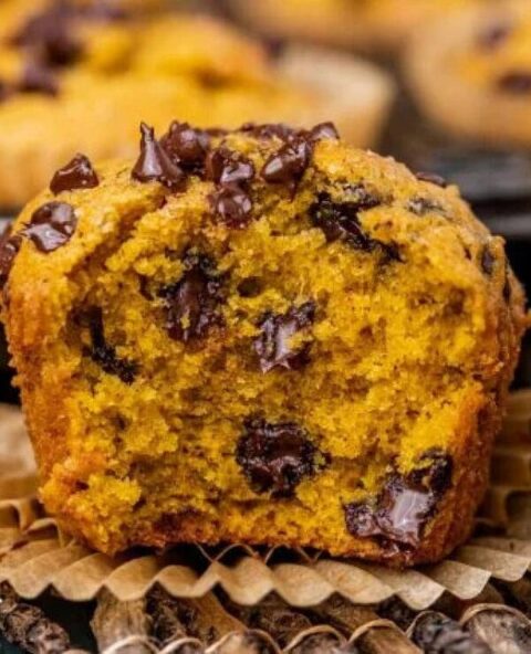 Roundup Image for Canned Pumpkin Recipes 