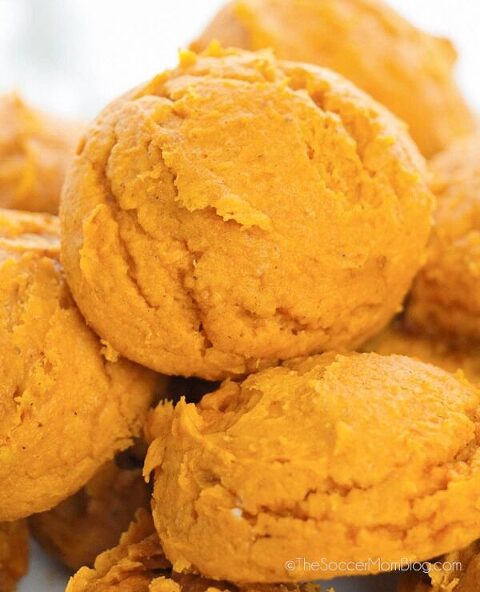 Roundup Image for Canned Pumpkin Recipes 