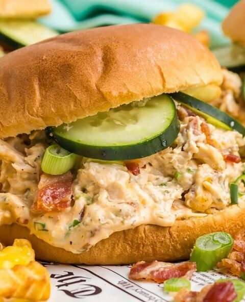 Roundup Image for Yum Sandwich Ideas 