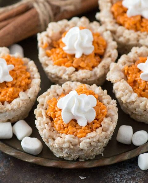 Roundup Image for No-Bake Fall Dessert 