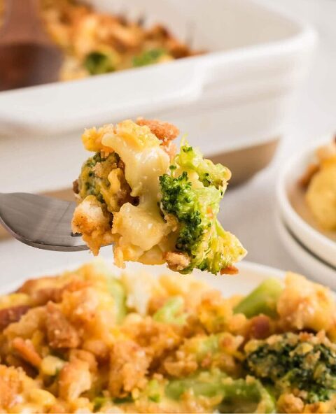 Roundup Image for Yum Fall Dinner Recipes 