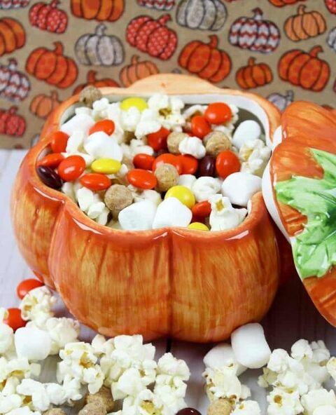 Roundup Image for Easy Snacks for Thanksgiving 