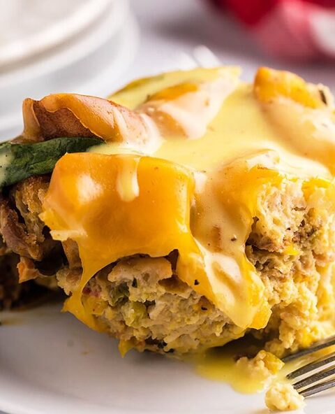 Roundup Image for High Protein Breakfast Recipes 