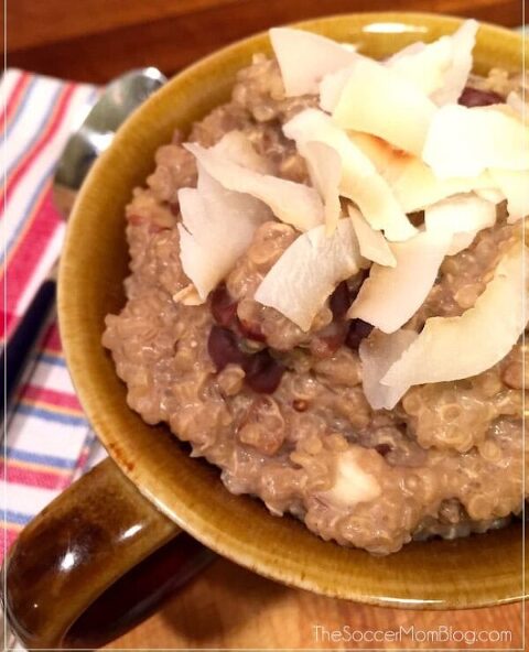 Roundup Image for High Protein Breakfast Recipes 
