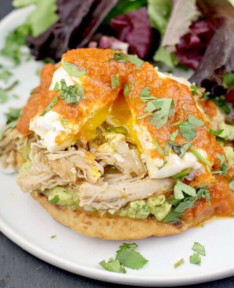 Roundup Image for High Protein Breakfast Recipes 