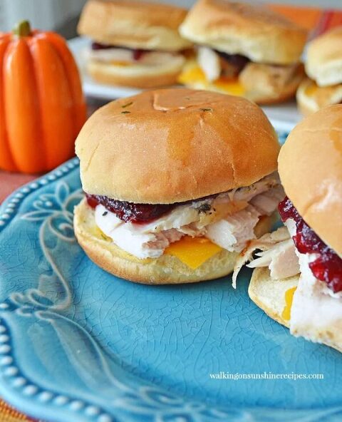 Roundup Image for Recipes To Make With Leftover Turkey 